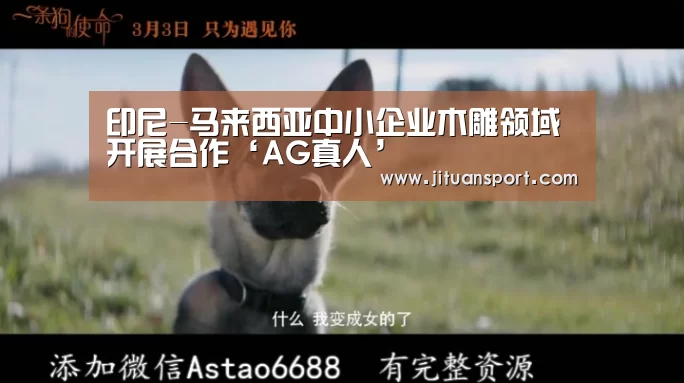 印尼-马来西亚中小企业木雕领域开展合作‘AG真人’(图1) AG稳定