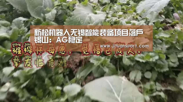 新松机器人无锡智能装备项目落户锡山:AG稳定(图3) AG真人