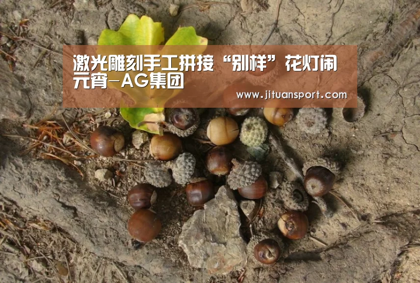 激光雕刻手工拼接“别样”花灯闹元宵-AG集团(图2) AG真人