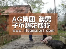 AG真人